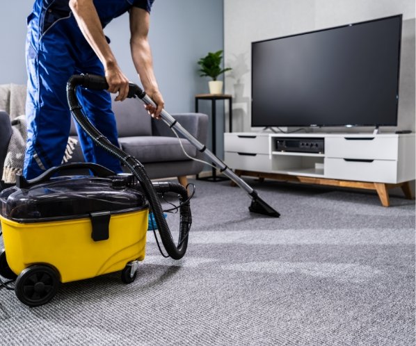 steam cleaning carpet upholstery mattres