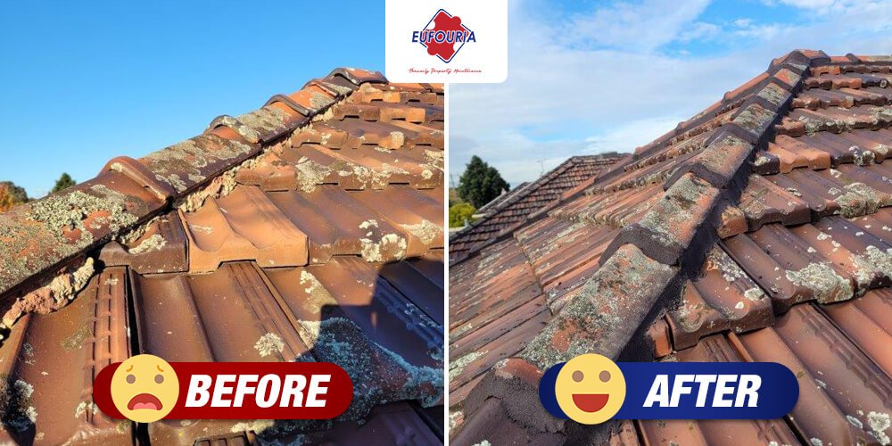 Roof RebeddingRepointing Melbourne