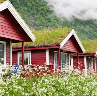 green roofs