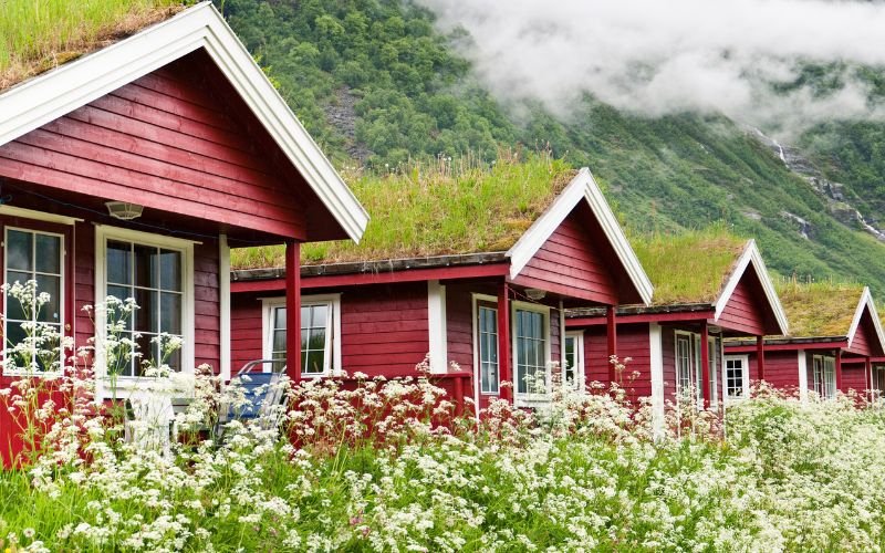 green roofs