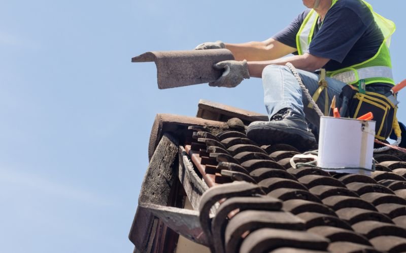 painting old roof