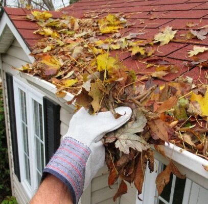 Roof & Gutter Maintenance