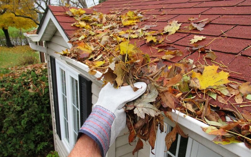 Roof & Gutter Maintenance