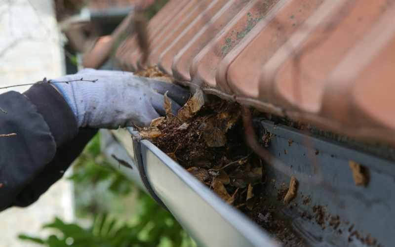 Clean gutters