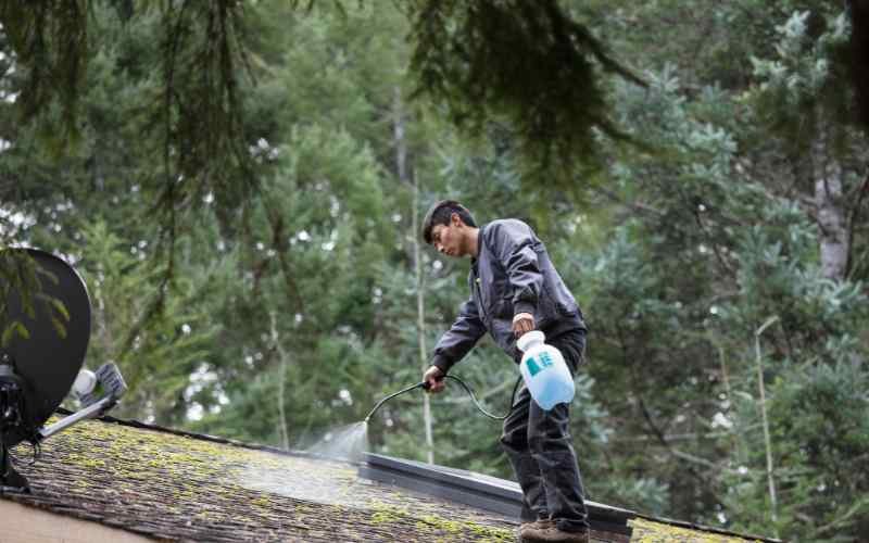 pest proof roof restoration