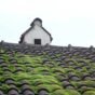 Ageing Roofs
